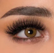 Bassia brown