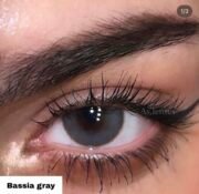 Bassia gray Freshlady